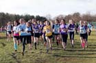 Senior girls 1. Photo: David T. Hewitson/Sports for All Pics